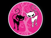 Fuck all my hole i m hungry 16/16