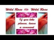 WIld Rose. Shaving a fingering my pussy. 1/16