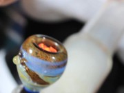 A Big Cucumber, and Daisy Dabs 10/16