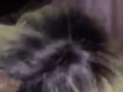 Thot sucking sloppy BBC dick(bad camera) 9/16