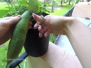 100% Organic Homegrown Masturbation on the Patio 1/16