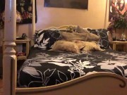 Insatiable Ivory 1/16