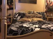 Insatiable Ivory 15/16