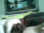 18yr-old fucks milf slut 12/16