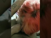 Alternative babe blowjob compilation 6/16
