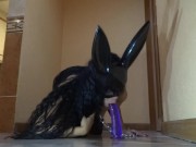 Esclava perfecta, perfecto squirt masivo - agatha dolly 5/16