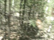 Минет в парке 6/16