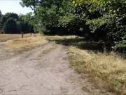 Nature Park Public Fuck & Big Facial 2/16