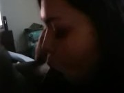 Teasing daddy with a few deep throats 8/16