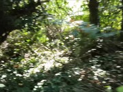 Outside Public Pathway Fuck & Swallow 2/16