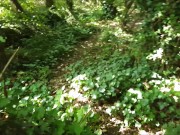 Outside Public Pathway Fuck & Swallow 4/16