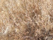 Hiker-Trash Wife finds Dick on the Trail 1/16