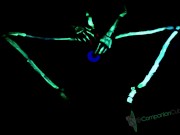 Blacklight Skeleton Masturbation and Cum