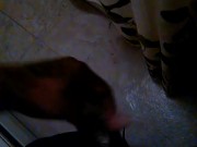 BBC stroking in bathroom waiting for PAWG to come over 15/16