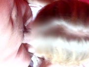 Nemohl jsem jí a jejím bílým kalhotkám odolat (celé video) 10/16