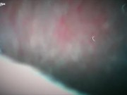 Bad Roommate Vore 11/16