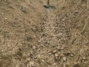 A cheating Friend Masturbates her ass in front of her Neighbor- 2019 16/16