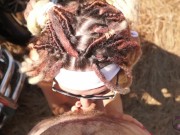 Outdoor anal sex with James Bong's girl on the motorbike. Pussy 0% 4/16