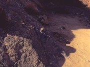 Topless hiking and mouthfull'o'cum in death valley (LAS VEGAS TRIP PART 2) 16/16