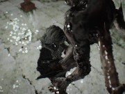 skyrim dark souls Fire Keeper and monster porn 6/16