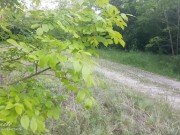 Teen si masturba nel bosco e viene scopata da un estraneo! LustTaste 4K 1/16