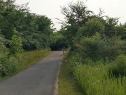 Custom Commission - Stripping in Public 14/16