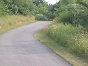 Custom Commission - Stripping in Public 6/16