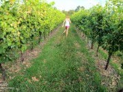 Afternoon jog outdoor sex young horny couple fuck hard LustTaste 4K POV 1/16