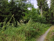 Crazy teen love the risk sex with a stranger  1/16