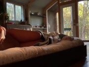 Waking up babe for some hot early morning sex. 4/16