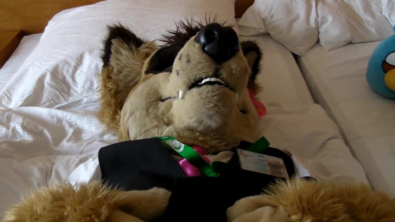 Gay Furry Cosplay Porn - Me wearing Pakyto while getting a handjob by the fursuit owner - RedTube