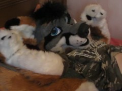 Furry Paws Videos and Gay Porn Movies :: PornMD
