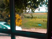 Après un long trajet, qu'une seule envie, baiser ! Le voisin était là ;p 1/16