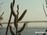 PrivateCom - teen Vikalita Pussy Pounded On Floor! 1/16