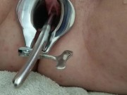 Piss Re-injection - Female Urethral Sounding - BDSM Stretched Wide Peehole 8/16