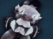 skyrim fan video demo 3 5/16