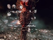 skyrim fan video demo 3 7/16