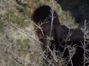 Jamie Stone POV 27 - Outdoor Fuck in the Wild 1/16