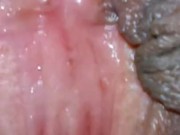 Киска и клитор очень крупным планом, мельчайшие подробности 10/16