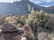 Two Hot Couples Fuck on Hike - Horny Hiking ft. Sparksgowild Public Sex POV 1/16