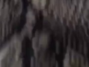 Compilado Sra. Feet se exibindo e mostrando peitos na academia 6/16