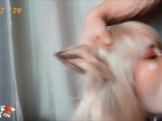 Сладкая Лисичка Сосет Хуй Соседа И Глотает Сперму - Косплей 7/16