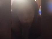 I’m a dick sucking slut 14/16