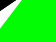 Doggystyle Pussy Gaping Creampie 1/16