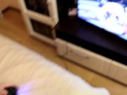 Заставил сосать пока играла, кончил на лицо 1/16