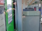 Public* Megakrank, Fahrgast dreht völlig durch 8/16