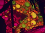 Psychedelic Silhouette Free Video 15/16