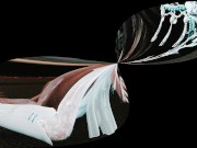 Skyrim Fan Video Demo 6 12/16