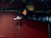 Big Vibrator Cumshots! KittyBeGood Compilation #2 5/16