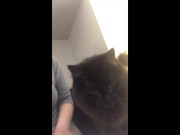 Quarantine Facetime Sex with Girlfriend [Vertical Video] 1/16